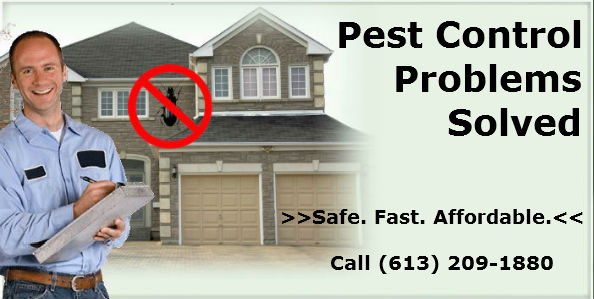 pest control ottawa