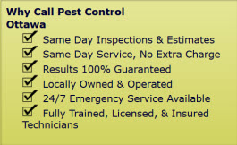 ottawa pest control